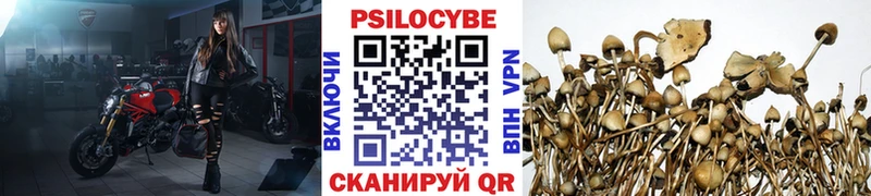 дарнет шоп Орск Галлюциногенные грибы ЛСД